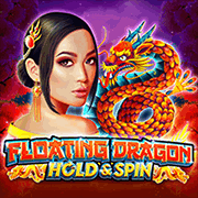 Rồng Nổi game cover